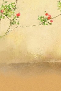 狼队表现不佳，球迷急切寻找解决之道