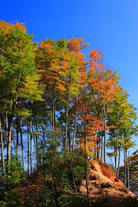弗朗科维奇关键扳平，克罗地亚重获晋级机会