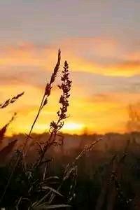 波尔多大胜安格斯，梅斯告负——豪情与反思并存的赛场夜晚