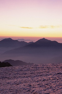 欧国联比赛：比利时队力克奥地利，晋级四强